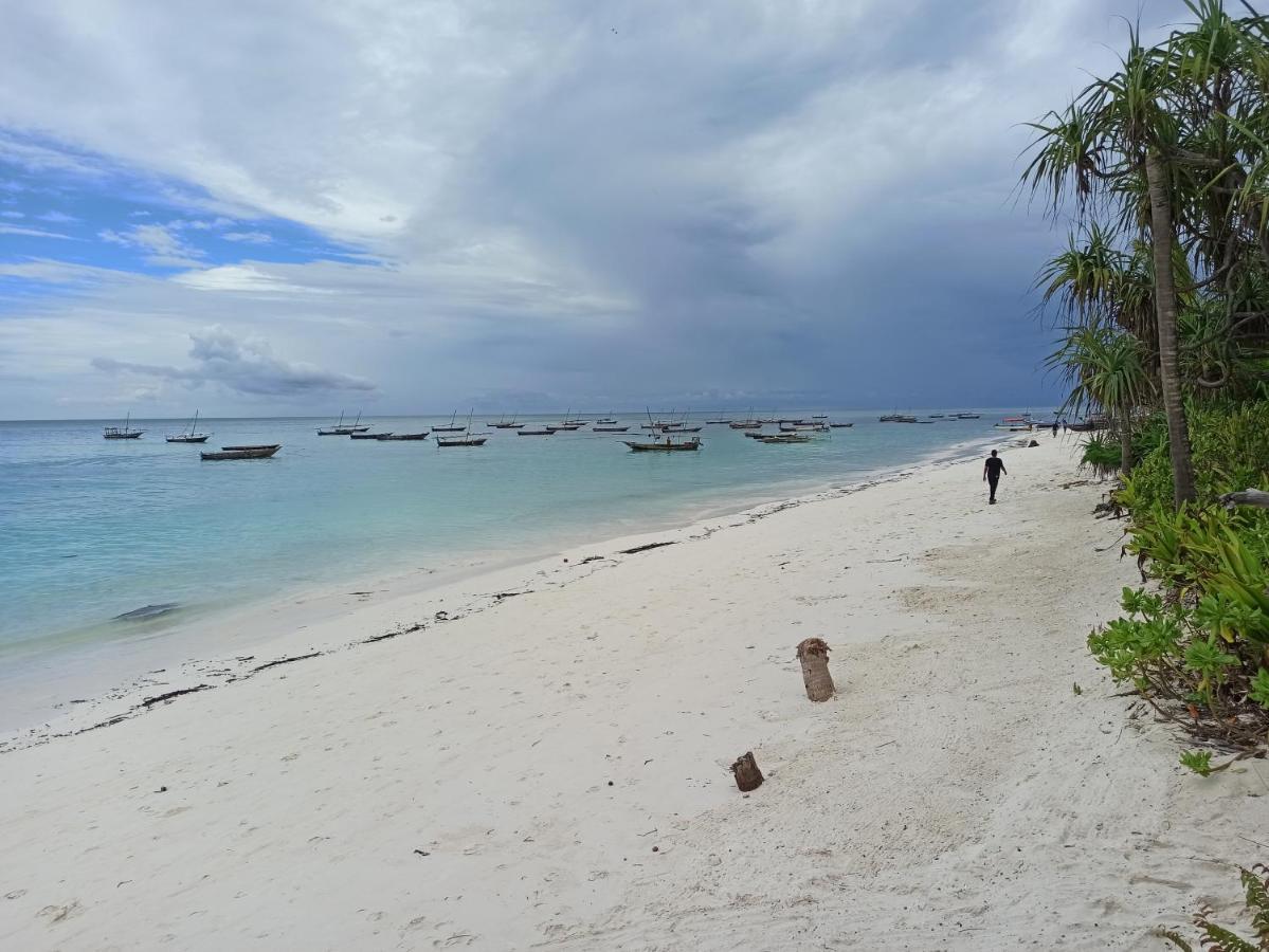 Cocolala Beach House Nungwi Dış mekan fotoğraf