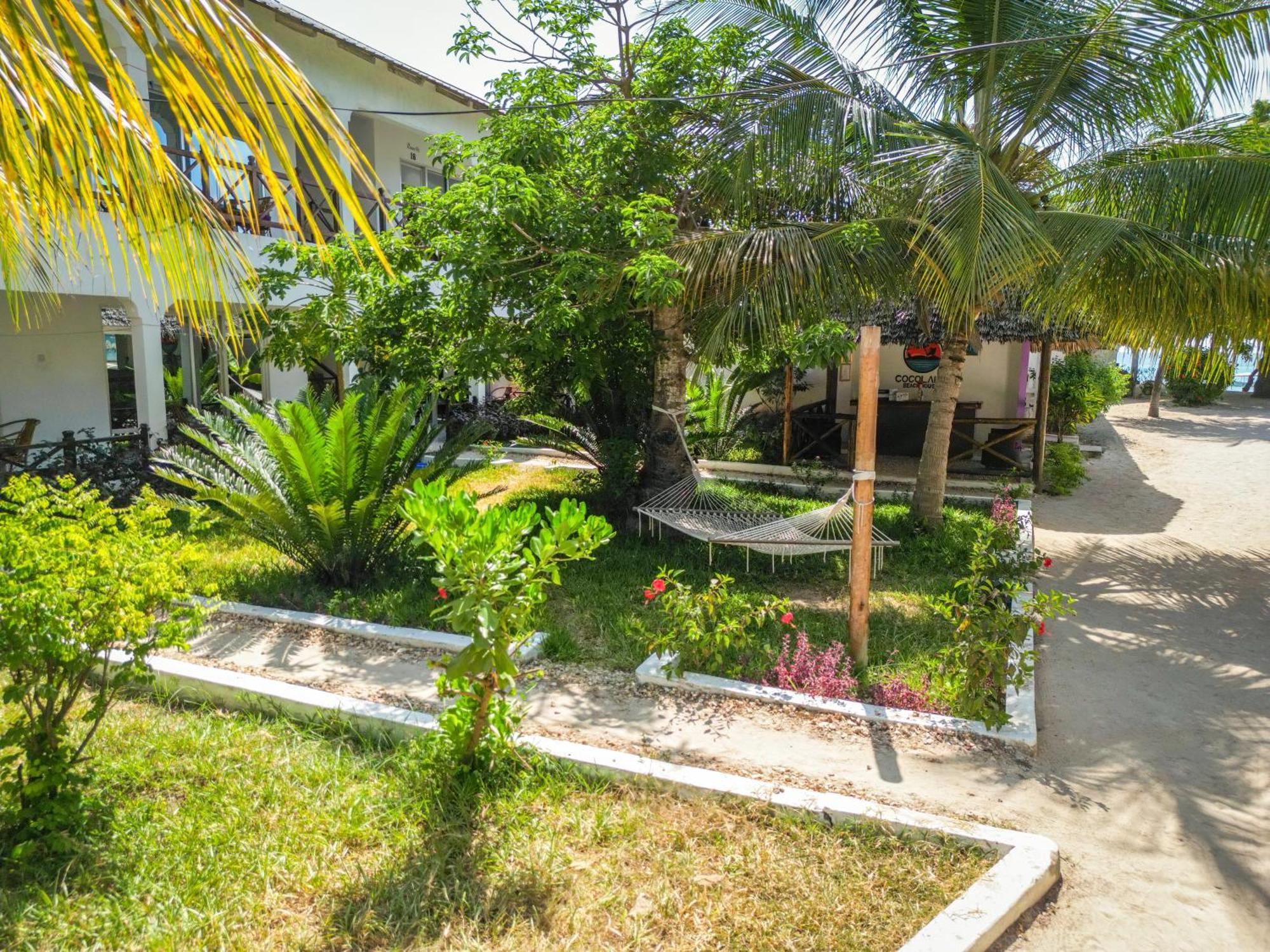 Cocolala Beach House Nungwi Dış mekan fotoğraf