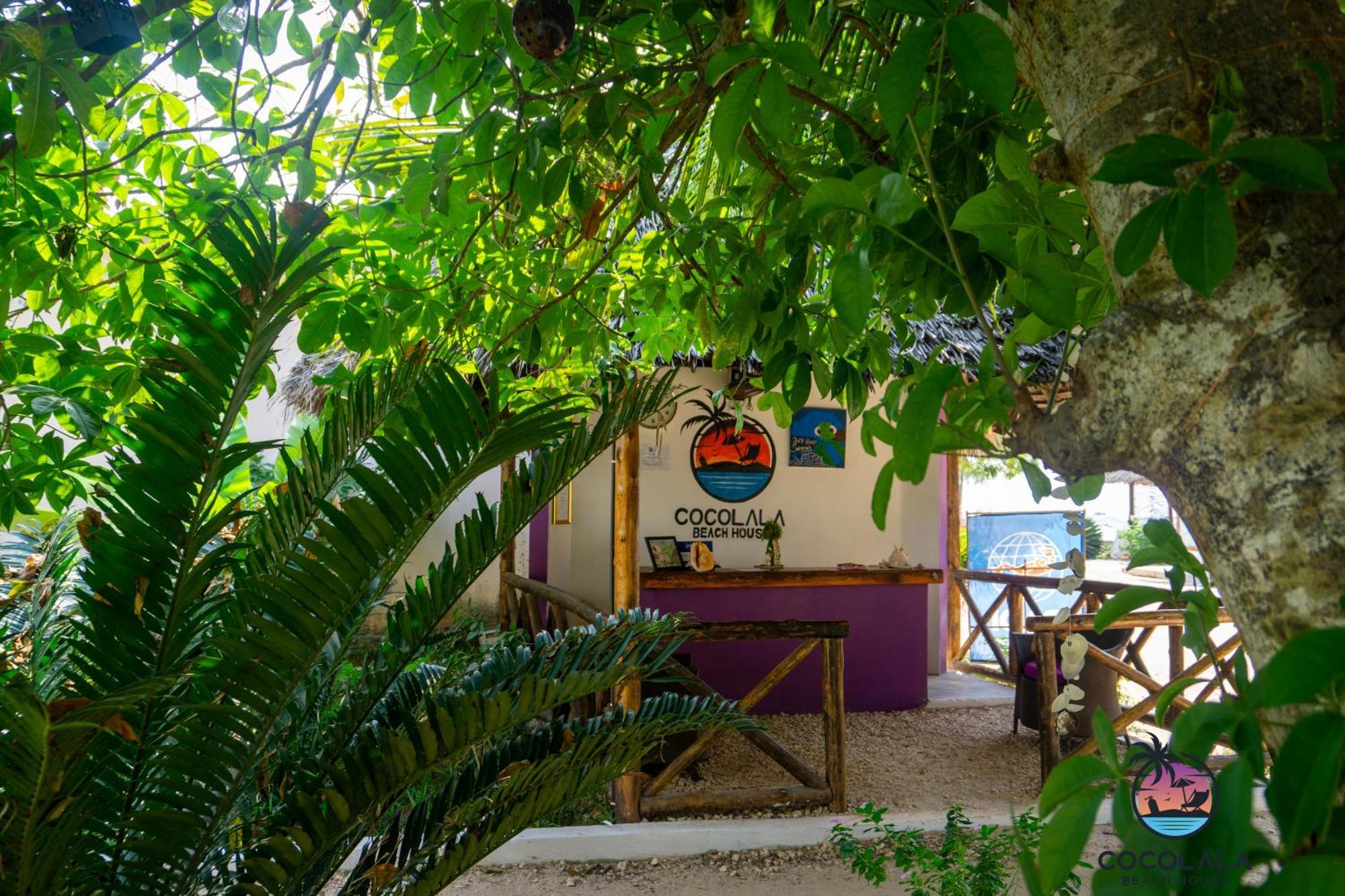 Cocolala Beach House Nungwi Dış mekan fotoğraf
